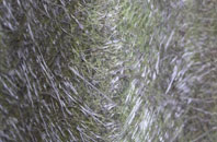 Bransby fibreglass roof work